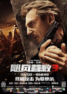 《爱情综合症前传》